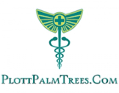 Chemo Does Not Cure: Often It Inflicts Damage and Spreads Cancer ~E.G.PLOTT~ Chemo...